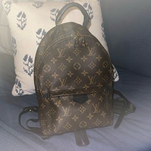 Louis Vuitton Palm Spring PM Backpack